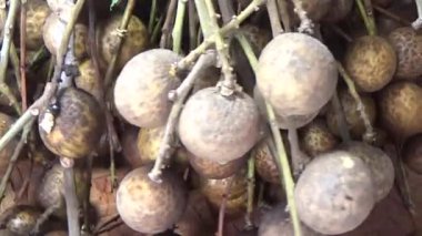 bunch of longan on the basket