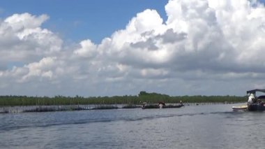 Pha Tam Giang, Hue, Vietnam.boating on a natural lake