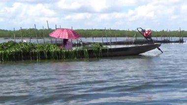 Pha Tam Giang, Hue, Vietnam.boating on a natural lake