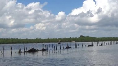 Pha Tam Giang, Hue, Vietnam.boating on a natural lake