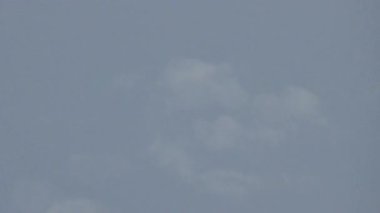 Gökyüzünde uçan kırlangıç