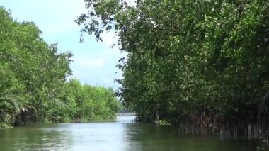 Pha Tam Giang, Hue, Vietnam.boating on a natural lake