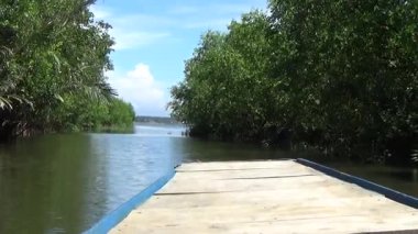 Pha Tam Giang, Hue, Vietnam.boating on a natural lake