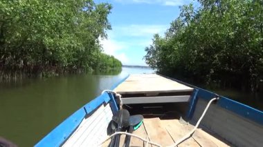 Pha Tam Giang, Hue, Vietnam.boating on a natural lake