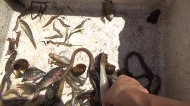 September 16, 2025. Hue, Vietnam.Hue Citadel, the last feudal dynasty of Vietnam