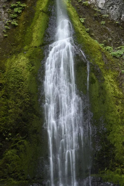 Marymere Falls Parque Nacional Olímpico Washington — Foto de Stock