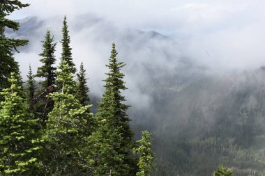 Sunrise noktada, olimpik Milli Parkı, Washington sürüklenen bulutlar