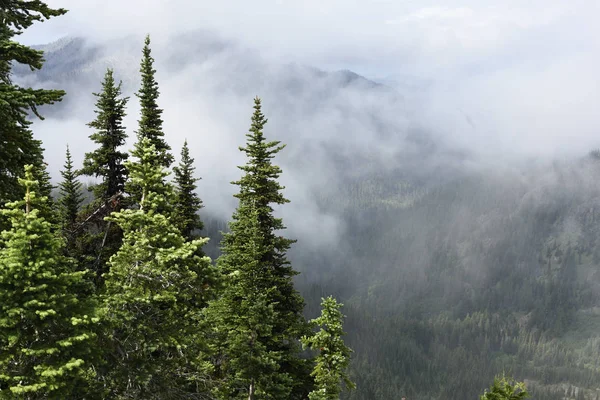 Sunrise noktada, olimpik Milli Parkı, Washington sürüklenen bulutlar