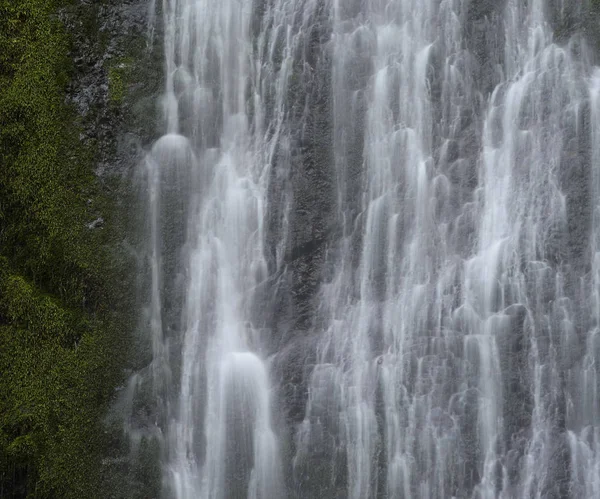 Marymere Falls Parque Nacional Olympic Washington — Fotografia de Stock