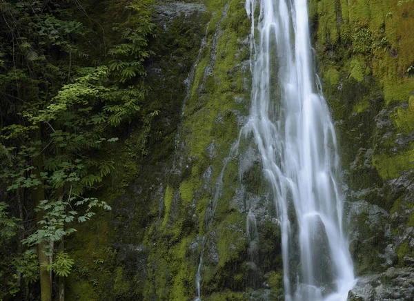 Madison Creek Falls, olimpik Milli Parkı, Washington