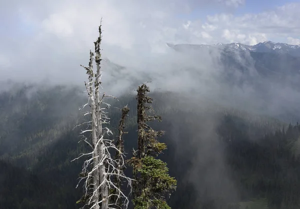 Sunrise noktayı, olimpik Milli Parkı, Washington sürüklenen bulutlar