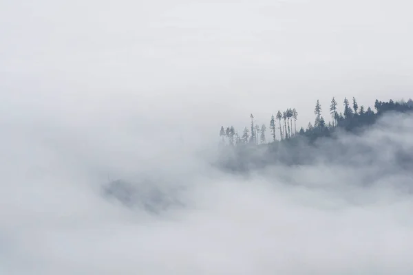 Sabah erken bulutlar, olimpik Milli Parkı, Washington uzak Ridge'de