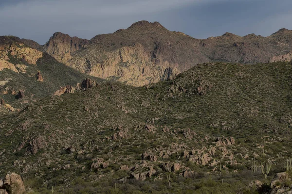 Dutchman Trail Montagnes Superstition Arizona — Photo