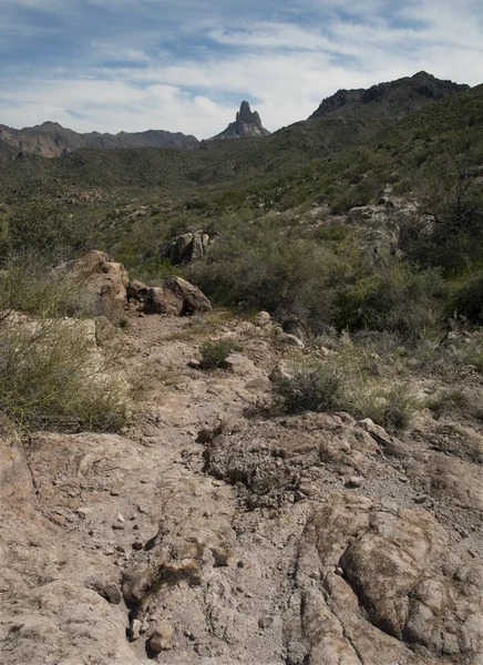 Aiguille Tisserand Sentier Hollandais Montagnes Superstition Arizona — Photo