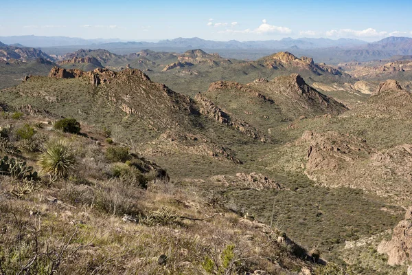 Sentier Massacre Grounds Montagnes Superstition Arizona — Photo