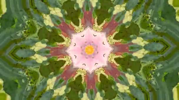 Abstrakte Dynamische Geometrische Kaleidoskop Blumenmuster Hintergrund — Stockvideo