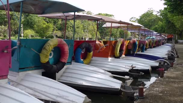 Pedalò Colorati Parcheggiati Una Lunga Fila Molo Nel Parco — Video Stock