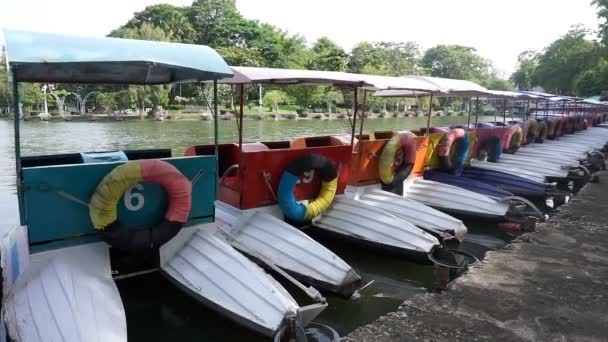 Barcos Pedal Colores Estacionados Una Larga Línea Muelle Parque — Vídeos de Stock