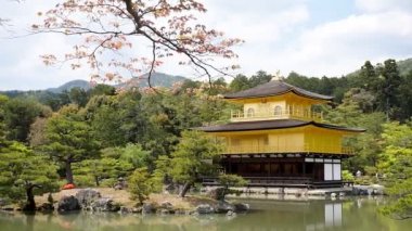 Güzel Zen Budist tapınağı altın köşk Kinkakuji 