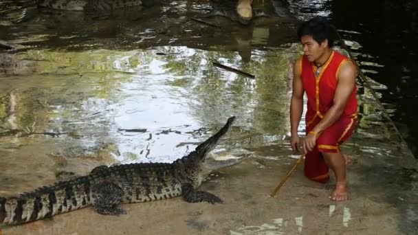 Nakhon Pathom Thailand Februar Krokodilshow Auf Der Krokodilfarm Samphran Ist — Stockvideo