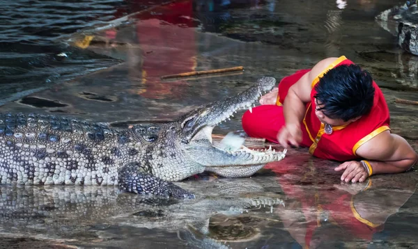 Espectáculo de cocodrilo en Samphran Crocodile Farm — Foto de Stock