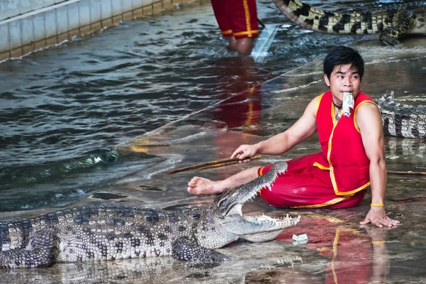 Espectáculo de cocodrilo en Samphran Crocodile Farm — Foto de Stock