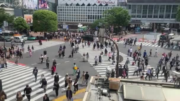 Tłum pieszych przekraczających skrzyżowanie Shibuya — Wideo stockowe