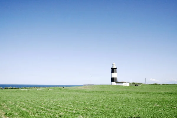 Phare Sur Terrain Bord Océan — Photo