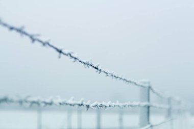 Dikenli tel çit kar üzerinde