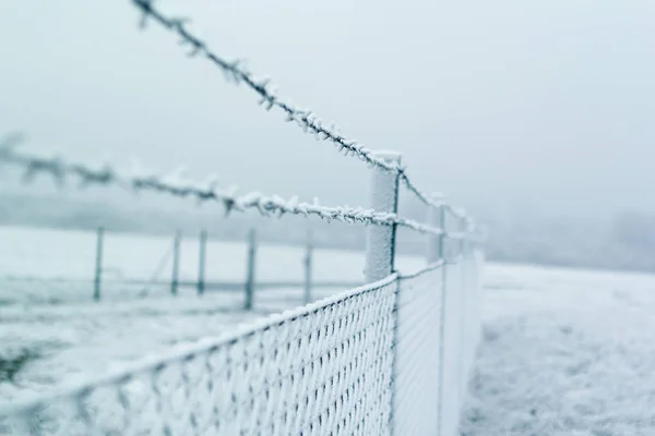 在雪地上的篱笆上有刺的铁丝 — 图库照片