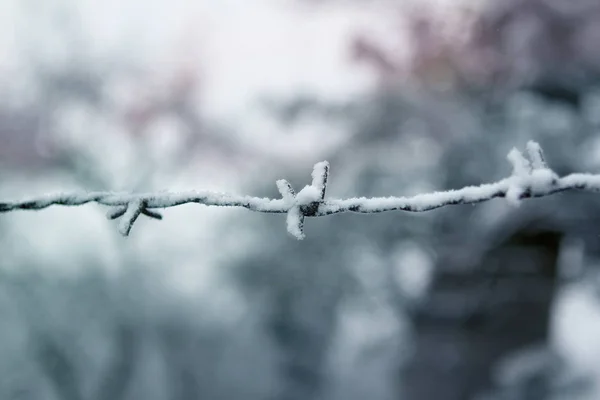 在雪地里的铁丝网 — 图库照片