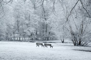 hoarfrost park banklar