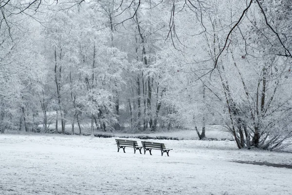 Bänke Raureif Park — Stockfoto