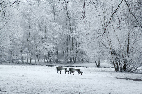 Benches in hoarfrost in the park