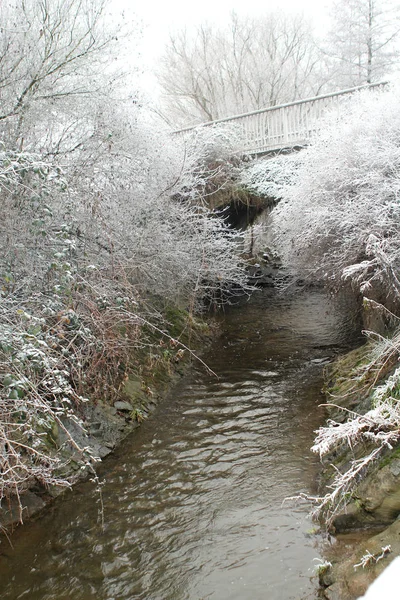 Río Invierno Parque — Foto de Stock