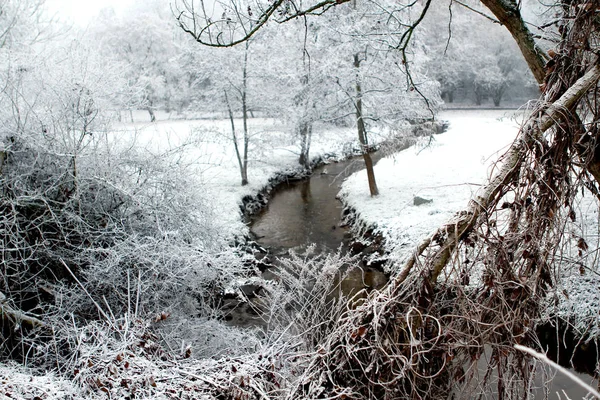 Río Invierno Parque — Foto de Stock