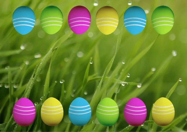 Colored Easter Eggs Background — Stock Photo, Image