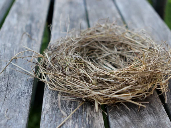 Påskbo Med Målade Ägg — Stockfoto