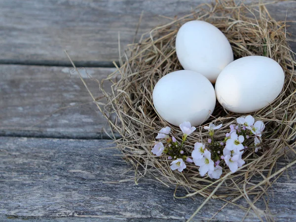 Osternest Mit Bemalten Eiern — Stockfoto