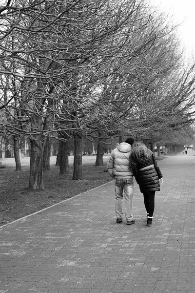 Deux jeunes hommes marchent, accrochés les uns aux autres, dans le parc d'hiver — Photo