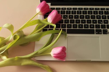 Pembe laleler, dizüstü klavye