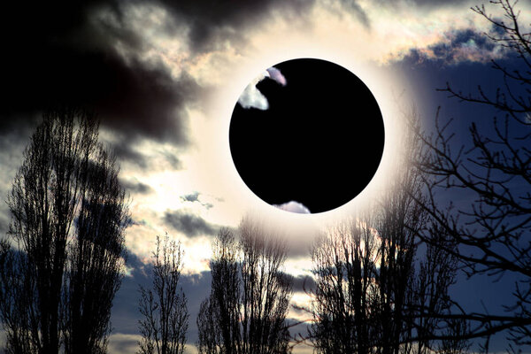 The moon obscures the sun, and the sky darkens, a solar eclipse against the background of tree branches