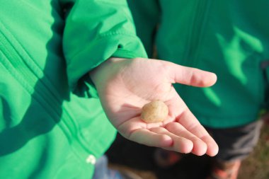 Hafif bir taş avucunda tutan çocuk, çocuk, yakın çekim