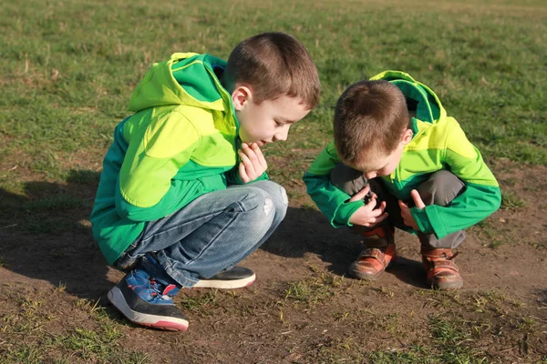 Dois garotos de blusões verdes no parque estão agachados, olhando para algo no chão, close-up — Fotografia de Stock