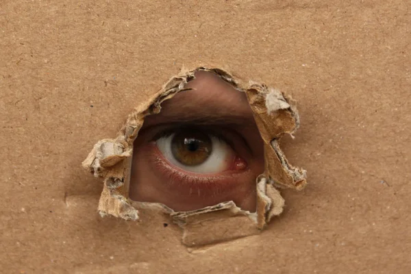 L'œil humain regarde par un trou dans le carton, le concept de surveillance, le regard — Photo