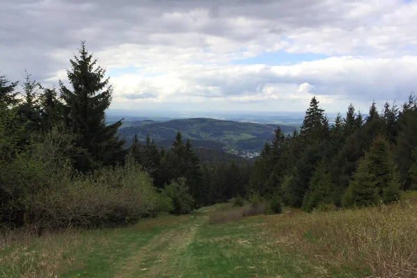 Pohled z hor do zeleného lesa s vysokými borovicemi a horami pod chmurným nebem — Stock fotografie