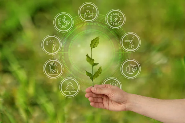 Mão segurando um ramo verde no fundo de ícones ambientais, conceito de ecologia de tecnologia — Fotografia de Stock