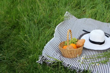 snack sepet, çim yakın çekim üzerinde piknik battaniye, metin için yer, sağlıklı yaşam tarzı kavramı