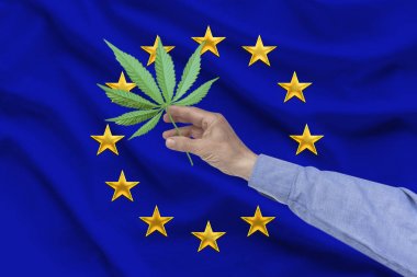 Erkek el Avrupa Birliği bayrağının arka planında marihuana bir levha tutan