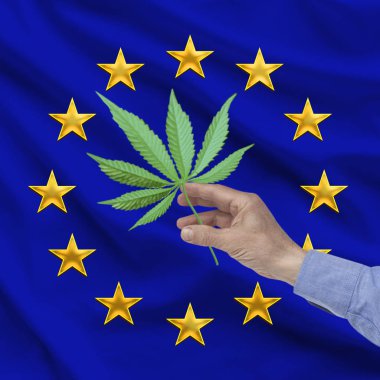 Erkek el Avrupa Birliği bayrağının arka planına karşı marihuana bir levha tutan, yakın çekim, kare